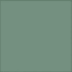 BAUHAUS Feinsteinzeugfliese Vintage Basic Kale 25 X 25 Cm, Grün, Matt