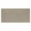 BAUHAUS Ambiente By Palazzo Feinsteinzeugfliese 30 X 60 Cm, Taupe, Matt