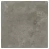 BAUHAUS Queens Feinsteinzeugfliese 79,8 X 79,8 Cm, Grau, Matt