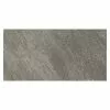 BAUHAUS Atlas Concorde Solution Earth Stone Feinsteinzeugfliese Regent Grey 30 X 60 Cm, Grau, Matt
