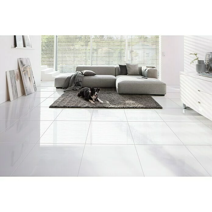 BAUHAUS Feinsteinzeugfliese Glacier 60 X 60 Cm, Weiß, Glänzend 5 BAUHAUS Feinsteinzeugfliese Glacier 60 X 60 Cm, Weiß, Glänzend – Bild 5