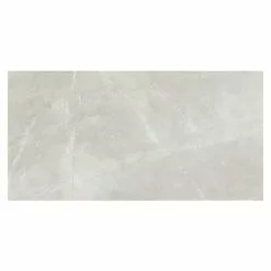 BAUHAUS Feinsteinzeugfliese Bayona Silver 60 X 120 Cm, Grau, Glänzend