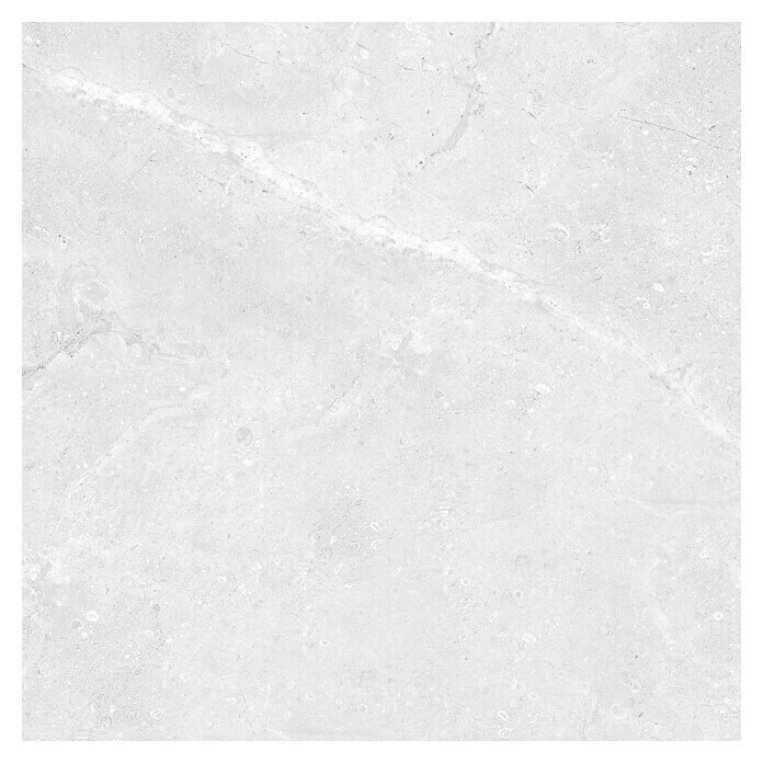 BAUHAUS Feinsteinzeugfliese Tibet 74,5 X 74,5 Cm, Weiß/Grau, Glänzend 1 BAUHAUS Feinsteinzeugfliese Tibet 74,5 X 74,5 Cm, Weiß/Grau, Glänzend