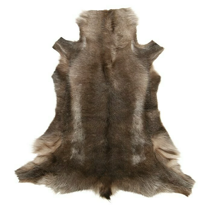 BAUHAUS Esbeco Deko-Rentierfell Braun/Weiß, 110 X 70 Cm, 100 % Echtfell 1 BAUHAUS Esbeco Deko-Rentierfell Braun/Weiß, 110 X 70 Cm, 100 % Echtfell