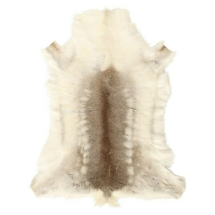 BAUHAUS Esbeco Deko-Rentierfell Braun/Weiß, 110 X 70 Cm, 100 % Echtfell 3 BAUHAUS Esbeco Deko-Rentierfell Braun/Weiß, 110 X 70 Cm, 100 % Echtfell – Bild 3