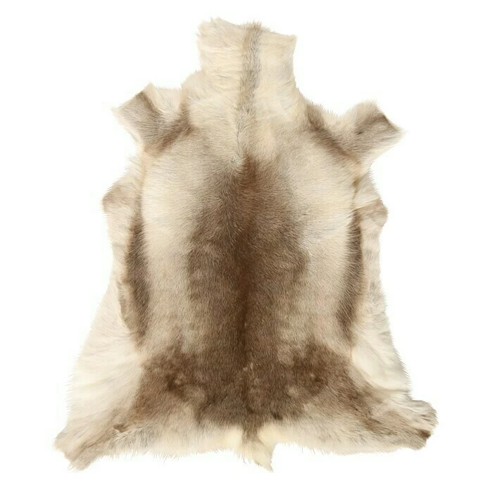 BAUHAUS Esbeco Deko-Rentierfell Braun/Weiß, 110 X 70 Cm, 100 % Echtfell 4 BAUHAUS Esbeco Deko-Rentierfell Braun/Weiß, 110 X 70 Cm, 100 % Echtfell – Bild 4