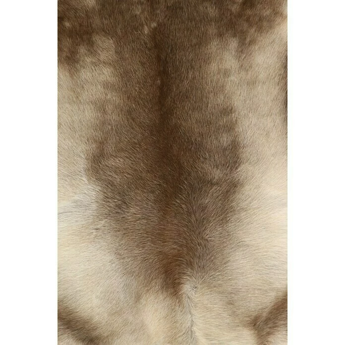 BAUHAUS Esbeco Deko-Rentierfell Braun/Weiß, 110 X 70 Cm, 100 % Echtfell 5 BAUHAUS Esbeco Deko-Rentierfell Braun/Weiß, 110 X 70 Cm, 100 % Echtfell – Bild 5