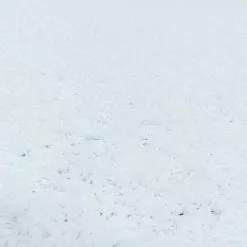 BAUHAUS Hochflorteppich Sydney 3000 Weiß, 400 X 300 Cm, 100% Polypropylen 9 BAUHAUS Hochflorteppich Sydney 3000 Weiß, 400 X 300 Cm, 100% Polypropylen -Angebote Fliesen Store 12 4039