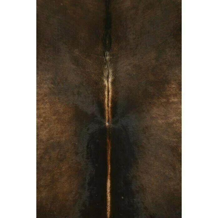BAUHAUS Esbeco Deko-Kuhfell Exotisch Dunkel, 100 % Echtfell, Fläche Ca.: 3 M² - 4 M² 3 BAUHAUS Esbeco Deko-Kuhfell Exotisch Dunkel, 100 % Echtfell, Fläche Ca.: 3 M² - 4 M² – Bild 3