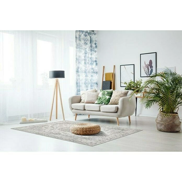 BAUHAUS Teppich Prima Creme, 170 X 120 Cm, 100 % Polyester 3 BAUHAUS Teppich Prima Creme, 170 X 120 Cm, 100 % Polyester – Bild 3