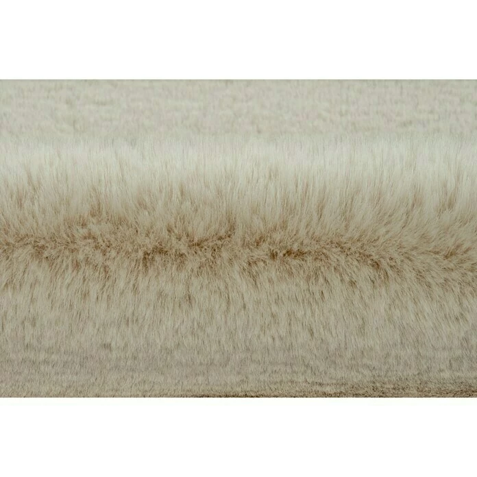 BAUHAUS Hochflorteppich Happy Elfenbein, 230 X 160 Cm, 100 % Polyester (Flor) 3 BAUHAUS Hochflorteppich Happy Elfenbein, 230 X 160 Cm, 100 % Polyester (Flor) – Bild 3