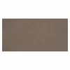 BAUHAUS Ambiente By Palazzo Feinsteinzeugfliese 60 X 120 Cm, Taupe, Matt