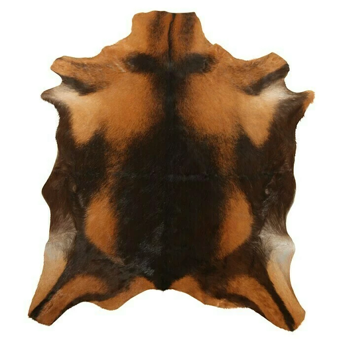 BAUHAUS Esbeco Deko-Ziegenfell Braun, 70 X 55 Cm, 100 % Echtfell 1 BAUHAUS Esbeco Deko-Ziegenfell Braun, 70 X 55 Cm, 100 % Echtfell