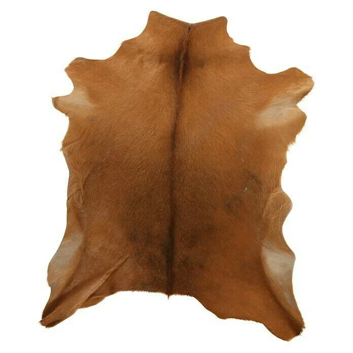 BAUHAUS Esbeco Deko-Ziegenfell Braun, 70 X 55 Cm, 100 % Echtfell 2 BAUHAUS Esbeco Deko-Ziegenfell Braun, 70 X 55 Cm, 100 % Echtfell – Bild 2