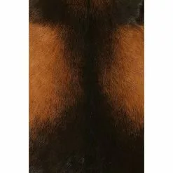 BAUHAUS Esbeco Deko-Ziegenfell Braun, 70 X 55 Cm, 100 % Echtfell 8 BAUHAUS Esbeco Deko-Ziegenfell Braun, 70 X 55 Cm, 100 % Echtfell -Angebote Fliesen Store 12 5246