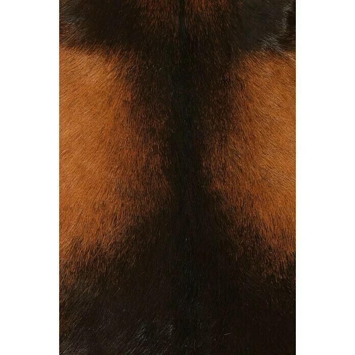 BAUHAUS Esbeco Deko-Ziegenfell Braun, 70 X 55 Cm, 100 % Echtfell 3 BAUHAUS Esbeco Deko-Ziegenfell Braun, 70 X 55 Cm, 100 % Echtfell – Bild 3