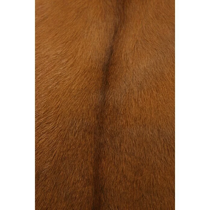 BAUHAUS Esbeco Deko-Ziegenfell Braun, 70 X 55 Cm, 100 % Echtfell 4 BAUHAUS Esbeco Deko-Ziegenfell Braun, 70 X 55 Cm, 100 % Echtfell – Bild 4