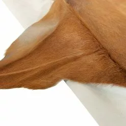 BAUHAUS Esbeco Deko-Ziegenfell Braun, 70 X 55 Cm, 100 % Echtfell 10 BAUHAUS Esbeco Deko-Ziegenfell Braun, 70 X 55 Cm, 100 % Echtfell -Angebote Fliesen Store 12 5248