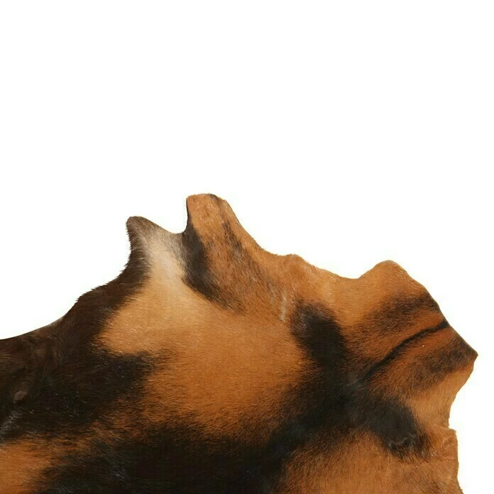 BAUHAUS Esbeco Deko-Ziegenfell Braun, 70 X 55 Cm, 100 % Echtfell 6 BAUHAUS Esbeco Deko-Ziegenfell Braun, 70 X 55 Cm, 100 % Echtfell – Bild 6