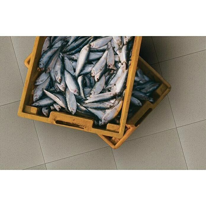 BAUHAUS Feinsteinzeugfliese Acapulco 30 X 30 Cm, Grau, Matt 5 BAUHAUS Feinsteinzeugfliese Acapulco 30 X 30 Cm, Grau, Matt – Bild 5