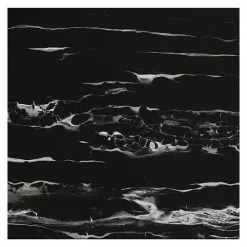 BAUHAUS Feinsteinzeugfliese Evolution Nero Apparo 60 X 60 Cm, Schwarz, Glänzend